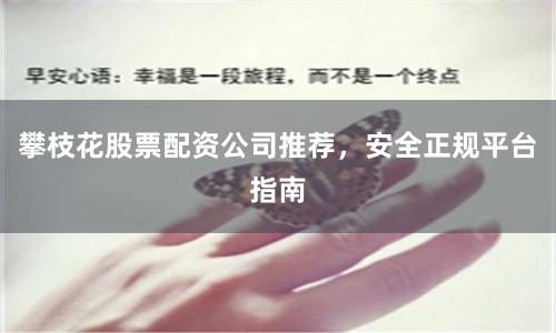 攀枝花股票配资公司推荐，安全正规平台指南