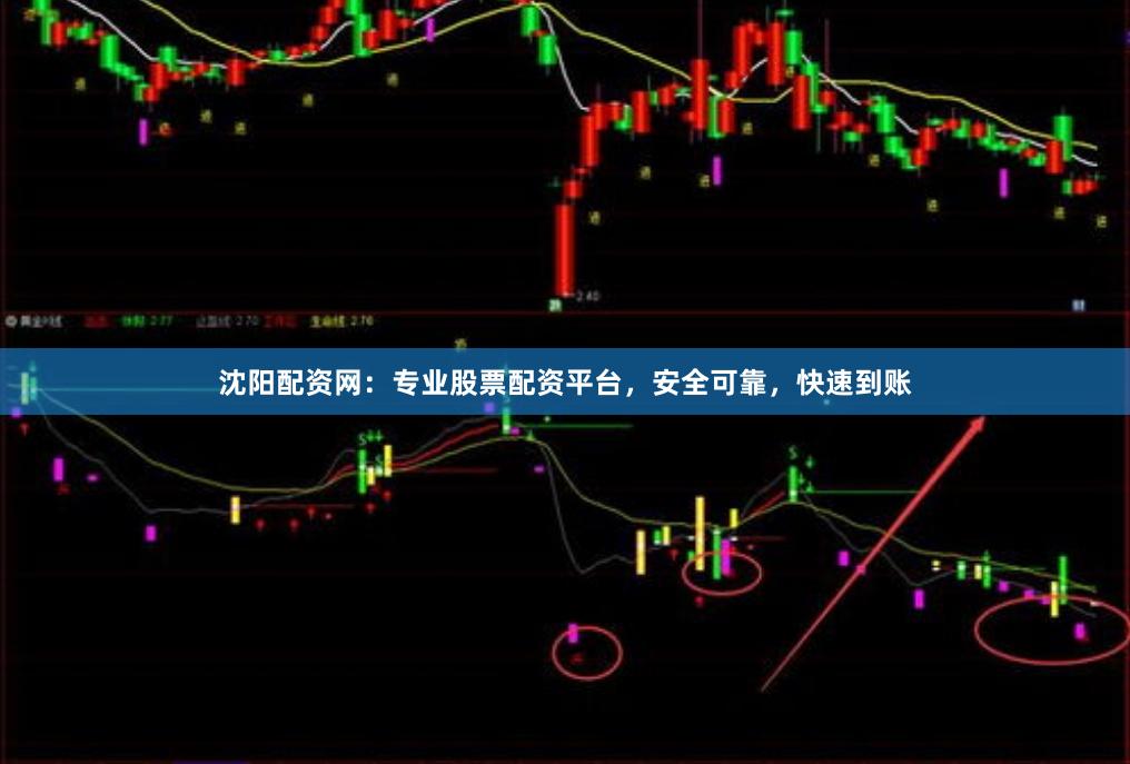 沈阳配资网：专业股票配资平台，安全可靠，快速到账